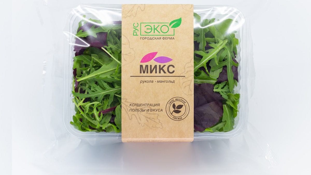 Arugula and chard salad mix grown on a city farm